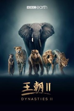 王朝第二季