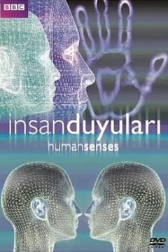 人类感官