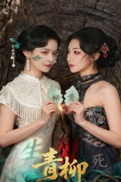 青柳短剧版