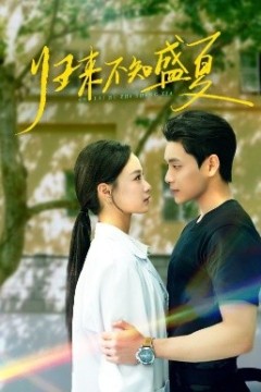 归来不知盛夏