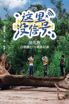 这里没信号