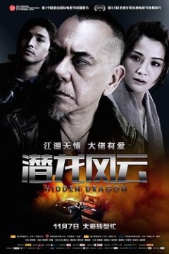 潜龙风云国语