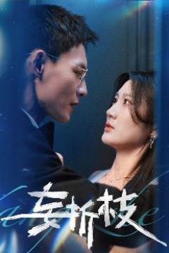 妄折枝