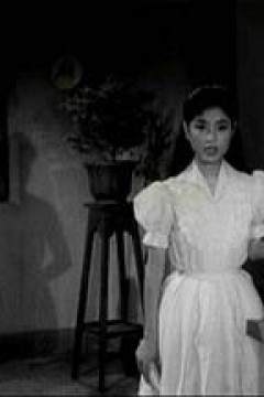 嫂夫人粤语