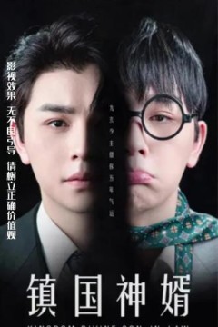 镇国神婿