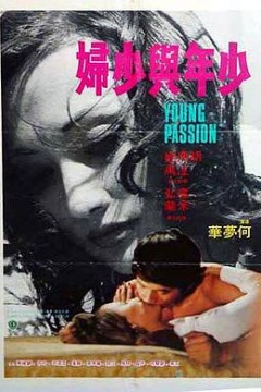 少年与少妇