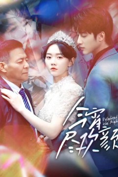 今宵尽欢颜