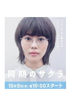 同期的小樱