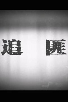 追匪