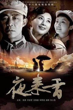 夜来香