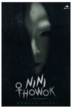 尼尼·特豪克