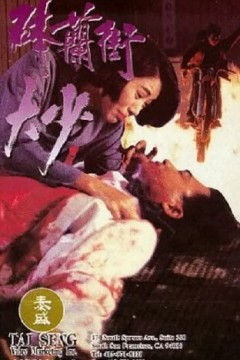 砵兰街大少1993