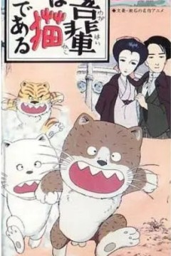 我是猫
