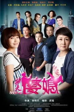 功夫婆媳2015