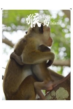猴岛