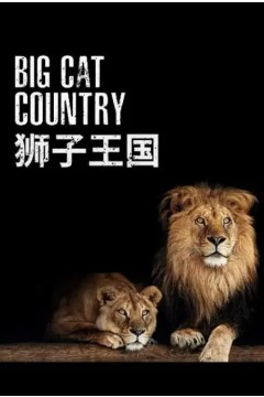 狮子王国