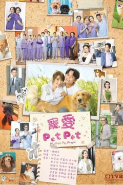 宠爱Pet Pet
