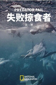 失败掠食者第一季