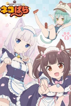 猫娘乐园2020