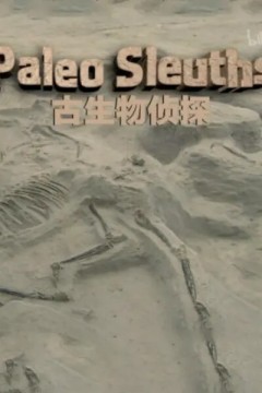 古生物侦探