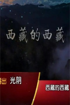 西藏的西藏