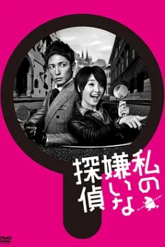 我讨厌的侦探