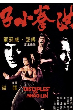 洪拳小子1975