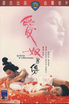 爱奴新传