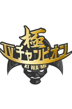 电视冠军之极