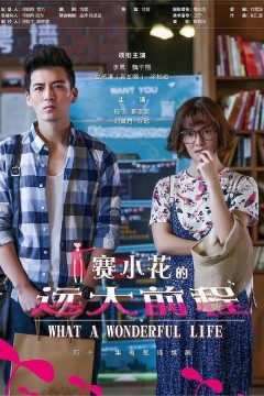 赛小花的远大前程2017
