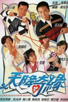 天降奇缘