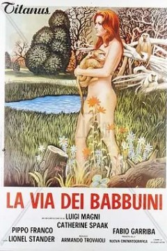 狒狒的方式1974
