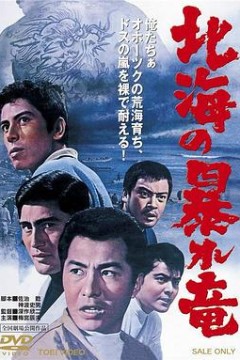 北海暴龙