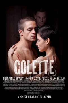 科莱特2013
