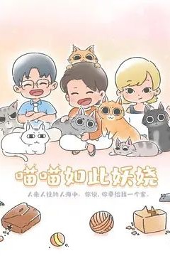 喵喵如此妖娆