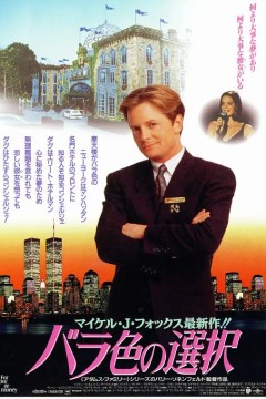 小生护驾1993