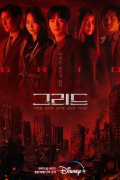 迷网追凶