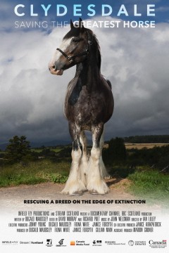 南纬65°观测