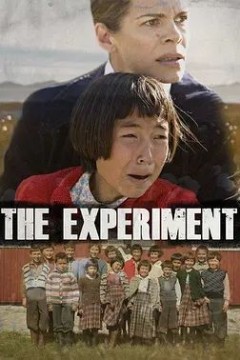 丹麦试验