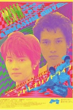 公路狂飙
