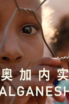 奥加内实