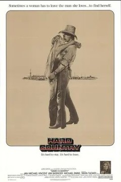 新飞上枝头1981