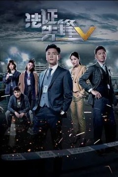 法证先锋第五季