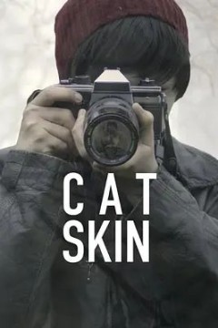 猫皮