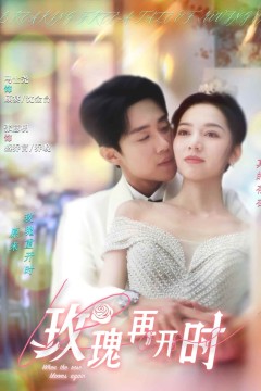 玫瑰再开时