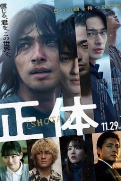 真实身份2024