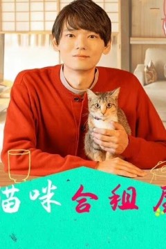 猫咪合租屋