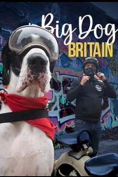 英伦巨犬粤语