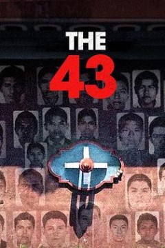 失踪的43人