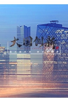大国创新